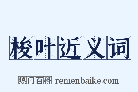 梭叶近义词是什么意思的图片